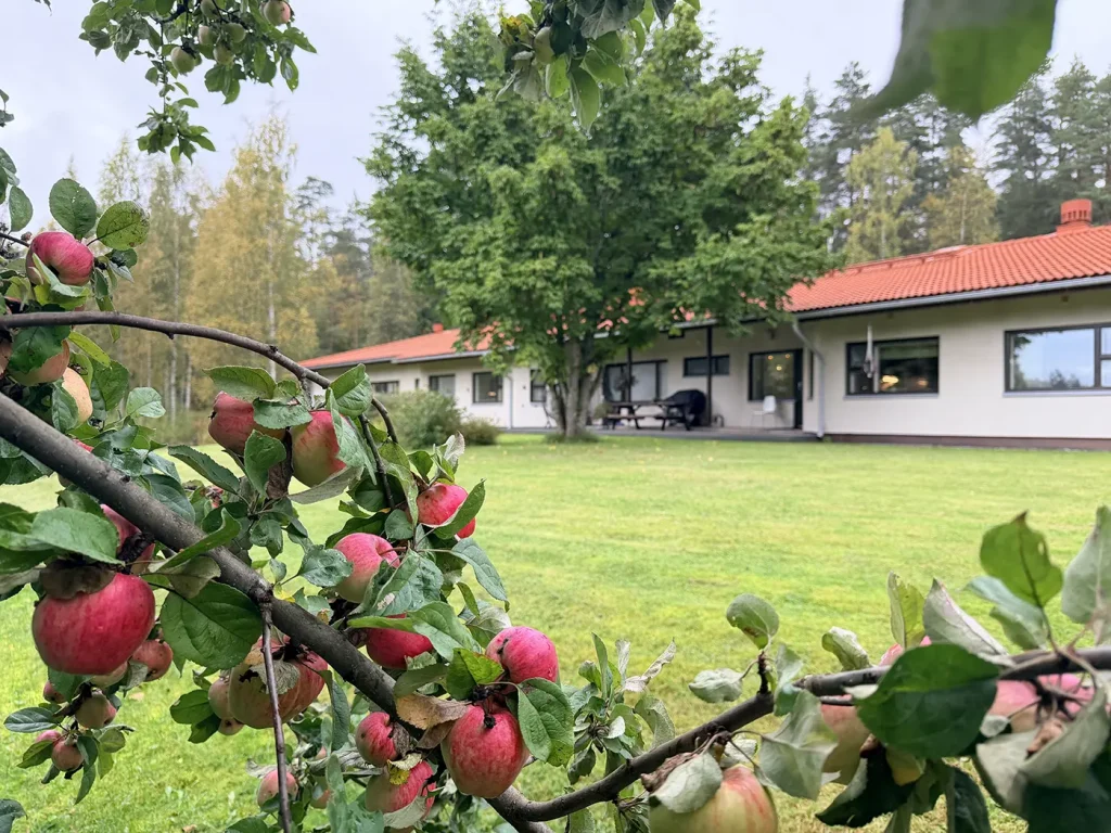Lastenkoti Kotirauhan takapihaa katsottuna omenapuun punaisten omenoiden takaa.
