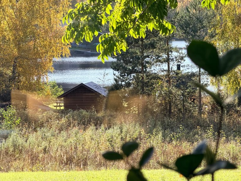 Näkymä järvelle ja rannan puuliiteriin Kotirauhan Vekaroiden ruokailutilan ikkunasta.